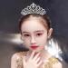 Lyellfe 6 Pack Silver Crystal Tiara Crowns for Girls - Princess Queen Rhinestone Headband Hair Accessories for Birthday Party and Proms - Buy Online on GoSupps.com