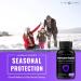 27-in-1 Immune Support Supplement | Antioxidant Immune Boosters for Adults | 90 Capsules | Vitamin C, D3, Elderberry, Zinc, Probiotics | 2 Pack - Buy Online on GoSupps.com