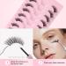 Parrarri 3D Cat Eye Half Eyelash - 10 Pairs of Transparent Band Artificial Lashes | Light Fake Eyelashes H-10 for Stunning Looks - Buy Online on GoSupps.com