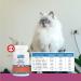Revive Active Joint Care Tablets for Dogs and Cats 120ct Relieves Inflammation Promotes Optimal Growth and Development Joint Mobility and Good Health. Tablets 120ct - Buy Online on GoSupps.com