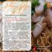 Sauce m langeuse pour nouilles s ches (Penang Wanton Noodles) Sos Campuran 310 g par bouteille Halal - Buy Online on GoSupps.com