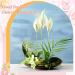 48-Piece Mini Round Flower Frogs for Arrangements - Floral Frog Pins for Small Vase Decor - 23mm Diameter Ikebana Supplies - Buy Online on GoSupps.com