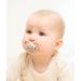 Nip Schnuller Green My Butterfly Pacifier - Eco-Friendly Jaw-Friendly Silicone Size 2 (5-18 Months) Orange - Buy Online on GoSupps.com