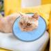 Bekecidi Cat Recovery Collar 2 PCS Cat Neck Shield Adjustable Cat Neck Protector dogs Flat Collar Pet Elizabeth Collar Prevent Kitten and Puppy from Licking Wounds(M) - Buy Online on GoSupps.com