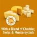 Friskies Party Mix Cat Treats Cheezy Craze Crunch with Real Cheese - 170 g Pouch (1 Pack) 170 g (Pack of 1) - Buy Online on GoSupps.com