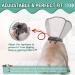 Soft Dog Cone Collar for Dog & Cat Recovery - Comfortable Alternative - Grey - M (7.5 Depth) - Buy Online on GoSupps.com