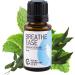 Buy Rocky Mountain Oils Breathe Ease Essential Oil Blend - Calming Relief for Diffuser & Topical Use - 15ml - International Shipping - Buy Online on GoSupps.com