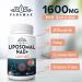 1600 mg Liposomal NAD Supplement 98% Pure NAD+ Supplement Superior Absorption Alternative to Nicotinamide Riboside or NADH to Boost NAD+ for Aging Defense Energy Longevity 120 Softgels 60 Count (Pack of 2) - Buy Online on GoSupps.com