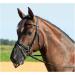 Busse Nostril Protector Fly Protector for Warmblood | Durable & Comfortable Horse Fly Defense - Buy Online on GoSupps.com