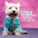 KYEESE Cactus Dog Pajamas - Stretchable Soft Material for Small Dogs & Cats - X-Large - Buy Online on GoSupps.com