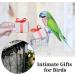 Adjustable Bird Cage Seed Catcher - Black Nylon Mesh with Twinkle Moon Star - 78.7 x 15.7 Inch - For Parrot Parakeet Cages - Buy Online on GoSupps.com