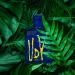 Ulric De Varens Wild Eau De Toilette for Men - Young Energetic and Confident- Bold and Fearless Notes of Rosemary Elemi Patchouli and Sandalwood-Make an Unforgettable Impression - 3.4 Fl Oz - Buy Online on GoSupps.com