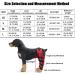 Dog Double Rear Leg Brace Dog Knee Brace Dog Double Rear Leg Brace- ACL Hind Leg Brace with Reflective Seat Belts - Supportive Dog Knee Brace X-Small - Buy Online on GoSupps.com