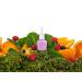 Nailtopia Bio-Sourced Chip No Nail Lacquer - Vegan Pastel Violet Nail Polish - Strengthens Nails with Superfood Ingredients - 0.41 Oz - Buy Online on GoSupps.com