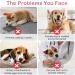 Flying Paws Disposable Dog Diapers - Adjustable & Suitable for Dogs & Cats | M Size (10 Pack) - Premium Quality for Stress-Free Pet Care - Buy Online on GoSupps.com