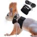 Squirrel traction rope belt anti-bite chain rope adjustable vest small animal dishes with a leash hamster racing mice rat mouse ferret chinchilla small animal walking
