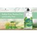 Tea Tree Mint Body Wash 16 oz - Extra Strength for Athletes Foot, Nail Fungus, Itchy Skin - For Men & Women - 16 Fl Oz - Buy Online on GoSupps.com