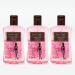 Swirl Lingerie Wash - Liquid Laundry Soap for Bra Panty Intimate Apparel Delicate Underwear - Eco-Conscious Concentrated Formula with Natural Silk Extracts - Soft Scent 3 Pack 280 ml 280 ml (Pack of 3)