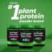 Orgain Collagen Creamer with Organic Oatmilk Powder - 10g Grass-Fed Collagen, MCT, Avocado & Coconut Oil - Non-Dairy, Non-GMO - 10 oz - Buy Online on GoSupps.com
