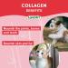 Pet Collagen Supplement Joint Care Formula with Grass Fed Beef Hydrolyzed Collagen Natural Beef Flavor - 500ml GMO Free Gluten Free Sugar Free - Made in Canada - Buy Online on GoSupps.com