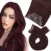 Moresoo Red Hair Extensions Clip in Wine Red Clip in Human Hair Extensions 12 Inch Clip in Remy Hair Extensions Thick Clip in Extensions 5 Pieces/70g #99J 30 cm #99J
