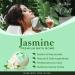 7Leaves Nature Premium Jasmine Bath Bombs - Large 6oz Fizzies for Skin Moisturizing & Relaxing Spa Bath - Handmade Gift Idea for Mother's Day, Valentine's, Anniversary, Christmas - Buy Online on GoSupps.com
