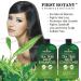 Tea Tree Mint Shampoo and Conditioner - Hair Loss, Growth, Dandruff, Lice & Itchy Scalp Treatment - Men & Women - Sulfate Free - 16 oz x 2 - Buy Online on GoSupps.com