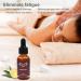 Massage Oil Lymphatic Drainage Ginger Oil Ginger Massage Oils Belly Drainage Ginger Oil Ginger Essential Oils for Massage Lymphatic Drainage Aromatherapy Ginger 30 ml (Pack of 3) - Buy Online on GoSupps.com