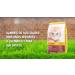 Josera Kitten Dry Cat Food 10 kg | Super Premium Nutrition for Growing Cats | Optimal Development & Health - Buy Online on GoSupps.com