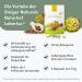 Steiger Naturhof Leberkur - Vegan Liver Health Support with Artichokes Choline Vitamin E & B12 - 60 Capsules for 1 Month - Buy Online on GoSupps.com