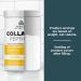 Ancient Nutrition Collagen Peptides Collagen Peptides Powder Vanilla Hydrolyzed Collagen Supports Healthy Skin Joints Gut Keto and Paleo Friendly 12 Servings 20g Collagen per Serving Vanilla 8.51 Ounce (Pack of 1) - Buy Online on GoSupps.com