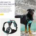 Adjustable Reflective Heele Dog Harness - No-Pull Breathable Design for Large Dogs | XL Turquoise | Comfortable Fit (53-97cm) - Buy Online on GoSupps.com