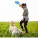 Fantesi 2-Piece Dog Flying Disc - 18.5 cm Rubber Saucer Toy for Training & Play - Soft & Stable - Buy Online on GoSupps.com