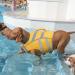 Buy Kuoser Life Jacket for Dogs - Durable & High Safety Swimming Vest for Small Medium and Large Dogs - Excellent Buoyancy - Yellow XS - Buy Online on GoSupps.com