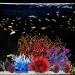 Buy BEGONDIS 8-Piece Coral Decoration Set for Aquariums | Transform Your Aquarium into a Stunning Underwater World - Buy Online on GoSupps.com
