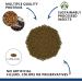 Fluval Bug Bits Fish Feed - Insect Larvae Granules for Tropical Fish (1.7kg) | Slow-Falling Granules 1.4-1.6mm - International Shipping Available - Buy Online on GoSupps.com