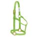 WEAVER Leather Non-adjustable Halter Lime Small Horse