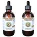 Cordyceps Alcohol-Free Liquid Extract Cordyceps (Cordyceps Sinensis) Mushroom Glycerite Hawaii Pharm Natural Herbal Supplement 2x4 oz 8 Fl Oz (Pack of 1)