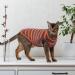 OUOBOB Sphynx Cat Clothing | Breathable Sleeveless Sweaters & Striped T-Shirts for Hairless Cats - Summer Pet Apparel - Buy Online on GoSupps.com