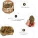 FOMIYES Cornucopia Ore Meditation Crystals and Stones Agate Stone Plating Agate Mineral Decorative Stone Golden 5.00X3.80X3.00CM - Buy Online on GoSupps.com