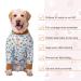 YeaPeeto XL One-Divider Pajamas for Dogs | Relaxation & Wound Protection | Anti-Lick & Allergy Solutions for Medium & Large Breeds - Buy Online on GoSupps.com