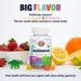KAL MultiSaurus Organic Multivitamin Gummies for Kids - 60 Gummies, Vegan & Gluten Free - Buy Online on GoSupps.com