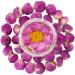 COLORFULTEA - 60g (2.12 oz) - Chinese Health Herbal Tea - Flower Tea - Floral Tea - Scented Tea - Dried Peony Tea/Peony Flowers Buds Tea - Fragrant Natural Organic Tea