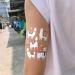 WENSHEN Llama Temporary Tattoo 10 Sheets - Alpaca Fake Tattoos for Birthday Party - Waterproof, Fun Party Favors for Kids, Girls, Adults - Buy Online on GoSupps.com
