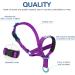 Pawaboo Dog Halter - Adjustable Reflective Nylon Training Harness for Small Dogs - Pet Safe Control - Purple Violet - Buy Online on GoSupps.com