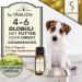 Adema Natural Wurmolan Globules - Natural Worm Cure for Dogs Cats & Rodents - 10g Safe Remedy for Pet Infestations - Buy Online on GoSupps.com