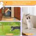 Nobleza Cat Feather Toys - Interactive Cat Toy with Retractable Wands and Bell - 12 PCS Refills Included - Buy Online on GoSupps.com