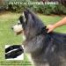 Tactical Dog Collar with Handle - Adjustable Military Training Collar for XL Black Medium Large Dogs - Buy Online on GoSupps.com