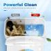 Vacplus Toilet Tank Cleaner 6-Pack | Automatic Descaler & Mold Remover | Effective Rust Removal for Clean Toilets - Buy Online on GoSupps.com