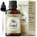 Organic Fennel Essential Oil for Digestion Sweet Fennel Seed Oil for Congestion Relief & Uplift Mood 100% Pure Undiluted Therapeutic Grade for Aromatherapy Glowing Skin Strengthened Hair 1oz Fennel 1 Fl Oz (Pack of 1)